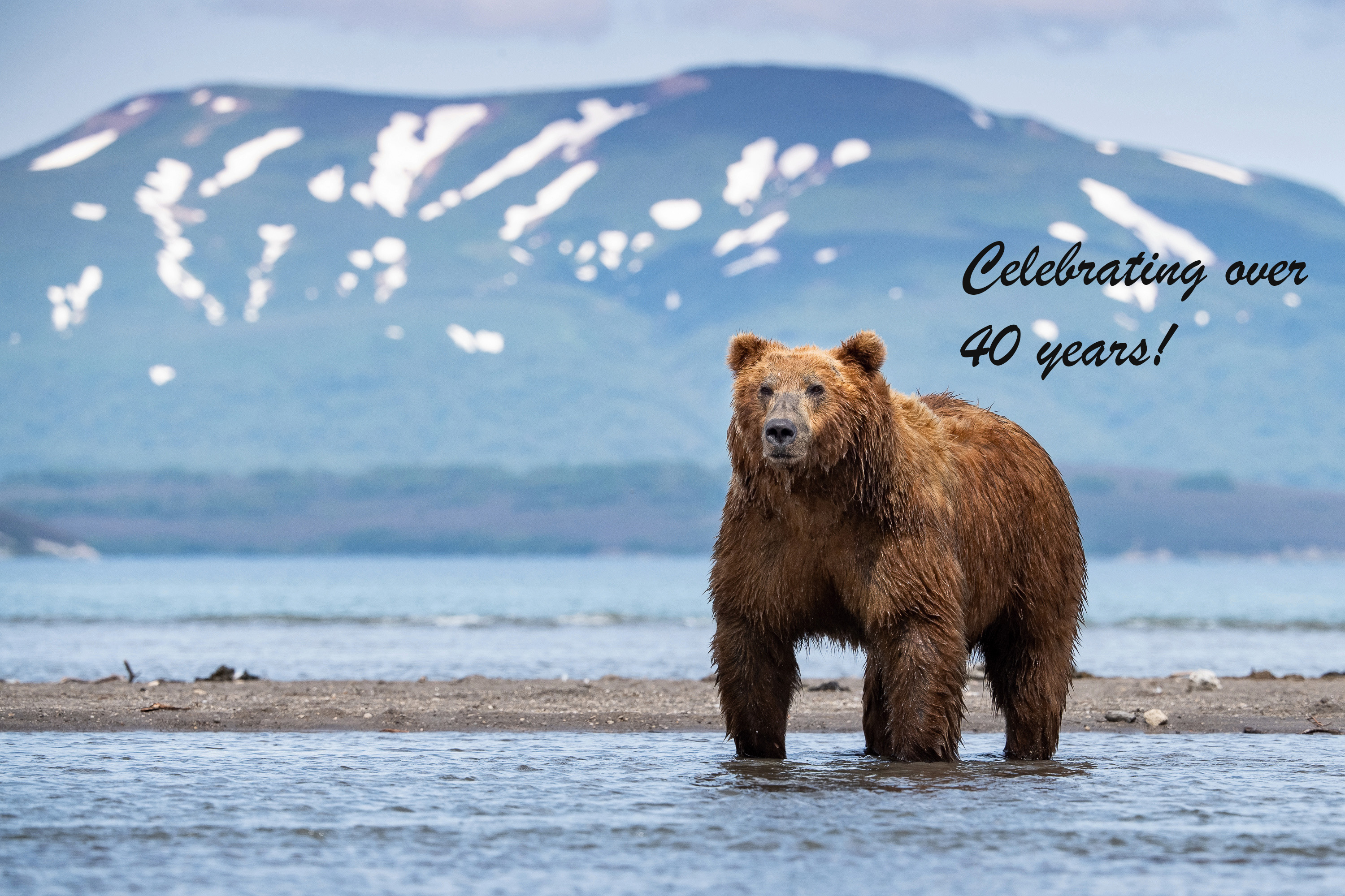Big game hunting packages — Ameri-Cana Expeditions Inc. – Ameri-Cana Expeditions Inc.